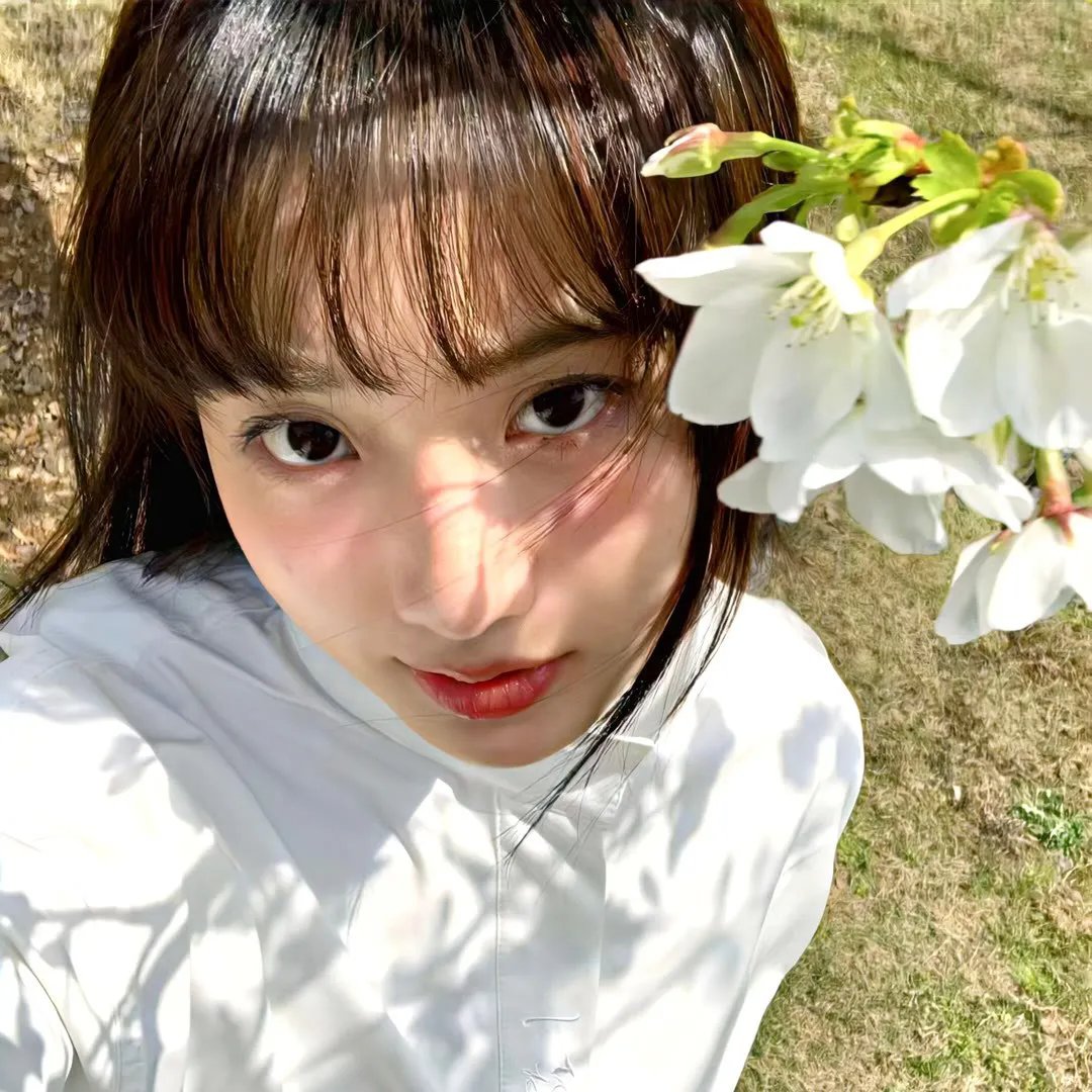 巨鲨大战食人鳄